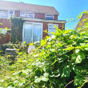 The weeds and ivy were encroaching on the house and fence lines.