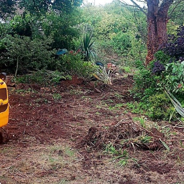 A mini digger is used to assist clearance of the garden shrubs and removal of the lawns between the rear gardens.