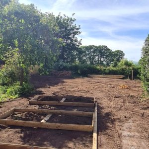 Surface vegetation was stripped off and raised beds constructed and positioned.