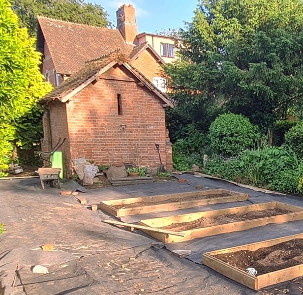 Geotextile fabric around new veg beds with wooden edging around the perimeter.