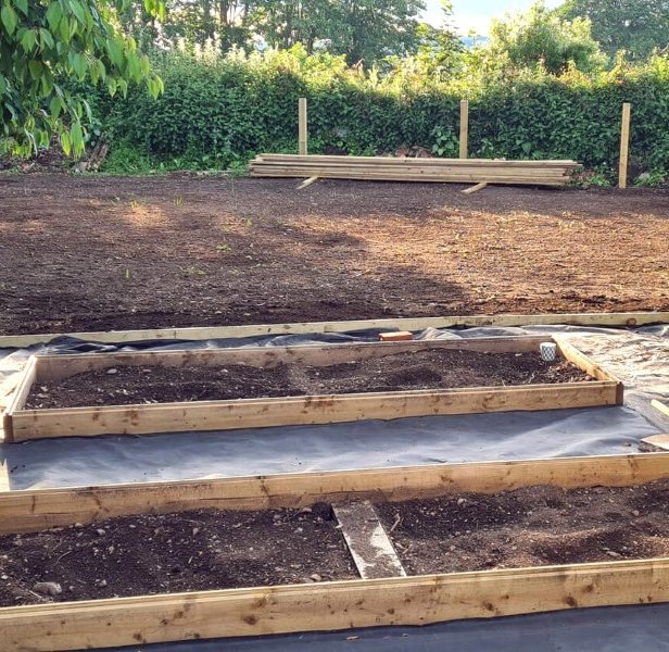 Wooden edging and geotextile fabric was installed around the veg beds.