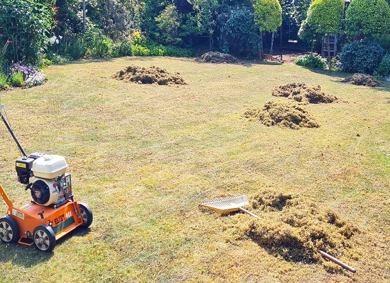 Piles of moss on a brown lawn with a scarifying machine and rake.