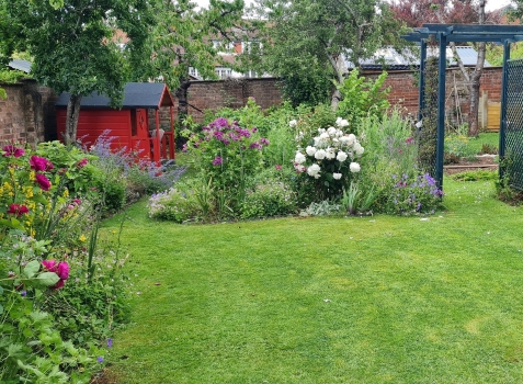 A garden with borders full of flowering plants and a lush green lawn.