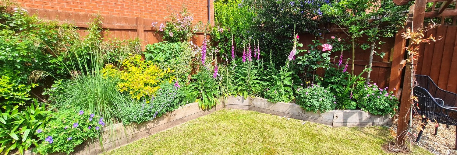 Raised bed with lots of flowers and colour, sits adjacent to a lawn.