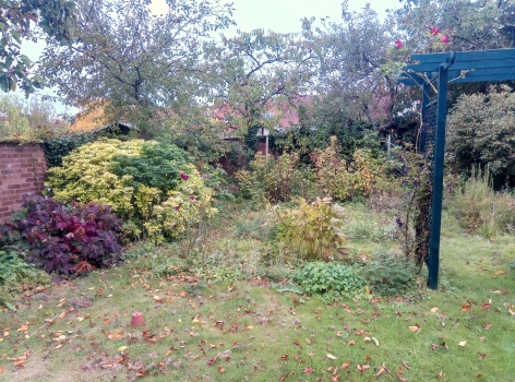 Borders were overgrown with edges indistinguishable from the lawn.