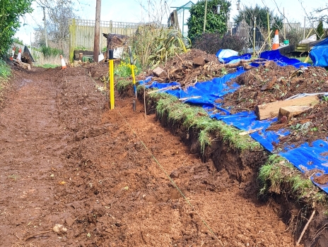 Temporary string lines and posts are used to mark out the position of a new fence being constructed.